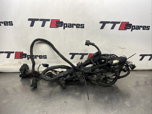 MK1 AUDI TT 8N S3 8L LEON CUPRA R BAM 225BHP ENGINE INJECTOR WIRING LOOM HARNESS