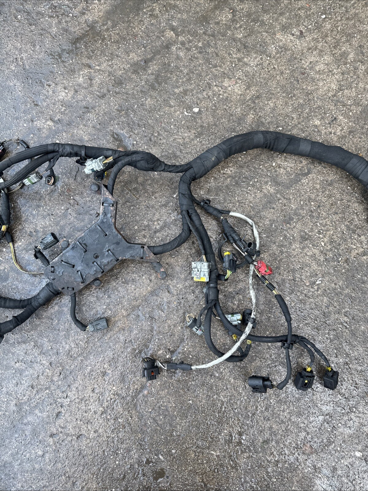 Range Rover L322 Engine Loom Complete TDV8 3.6 6H4Q 9H589 AF 2006 to 2010