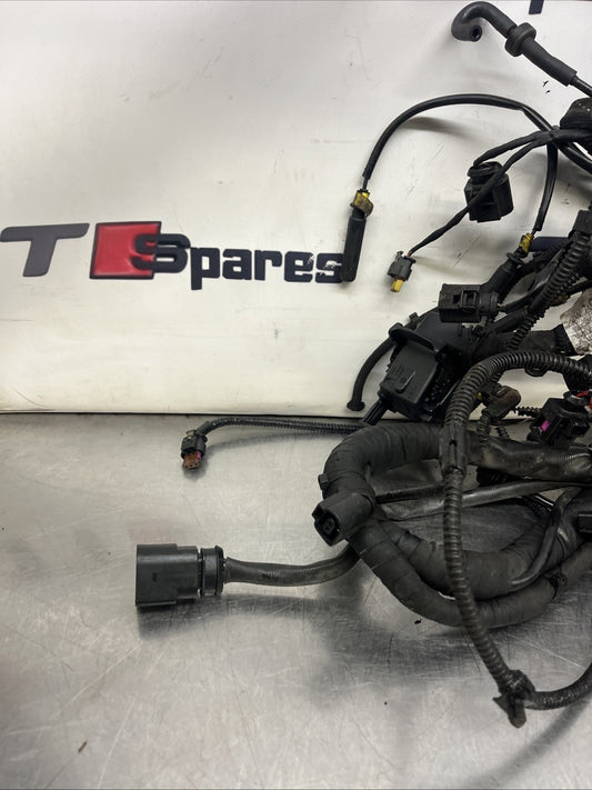 AUDI Q7 (4L) VA2591397  Engine wiring harness 4L0971610BD 4L0971610BD