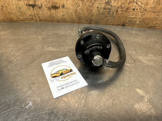 Audi TT Mk1 MAMBA Adjustable Watergate 20211001438