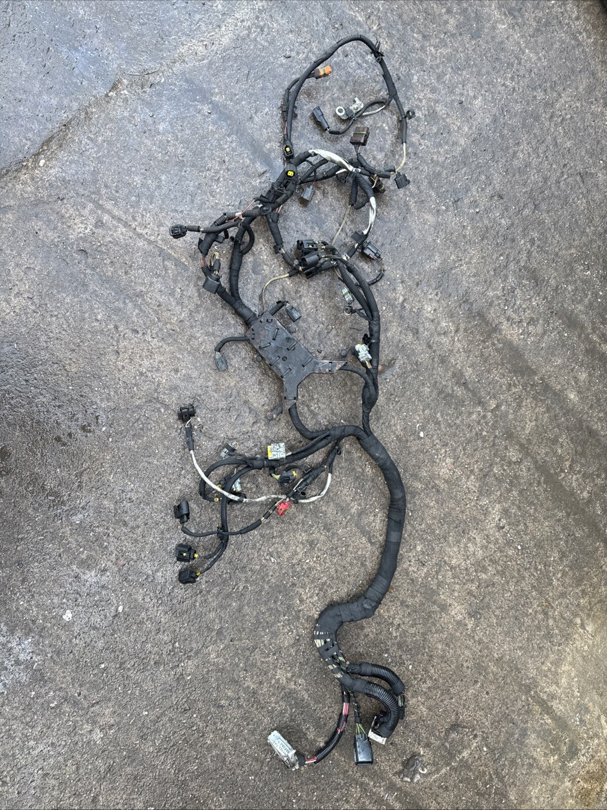 Range Rover L322 Engine Loom Complete TDV8 3.6 6H4Q 9H589 AF 2006 to 2010