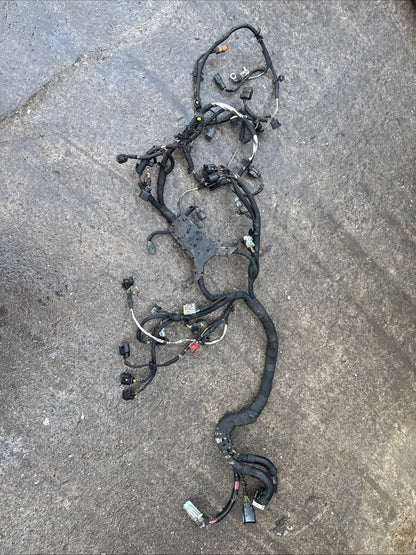 Range Rover L322 Engine Loom Complete TDV8 3.6 6H4Q 9H589 AF 2006 to 2010