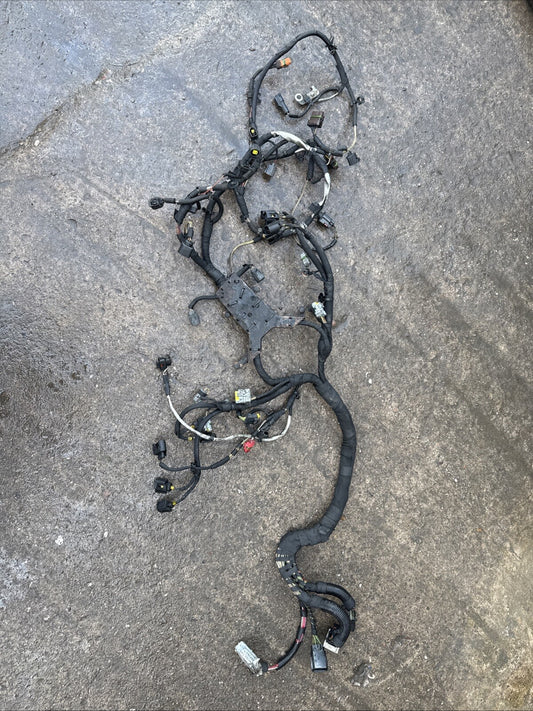 Range Rover L322 Engine Loom Complete TDV8 3.6 6H4Q 9H589 AF 2006 to 2010